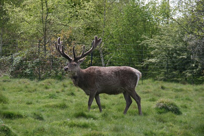 Hampton Court Palace Grounds Bike Tour - Traveler Photos