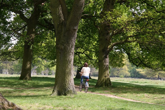 Hampton Court Palace Grounds Bike Tour - The Sum Up
