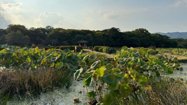 Hamyang 11 All Inclusive Weekend Trip - Experience Local Culture