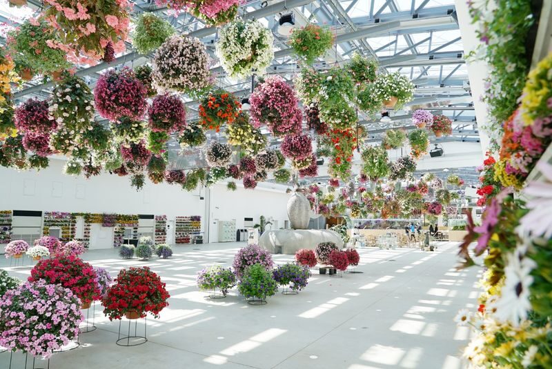 "HANA-BIYORI" A New Sensation Flower Park in Tokyo - Flowers meet digital art at HANA-BIYORI