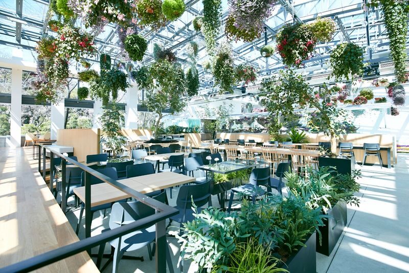 "HANA-BIYORI" A New Sensation Flower Park in Tokyo - A multi-ending show of light and sound