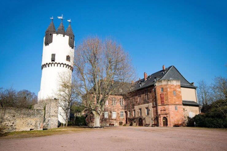 Hanau: Private Guided Walking Tour - Experience