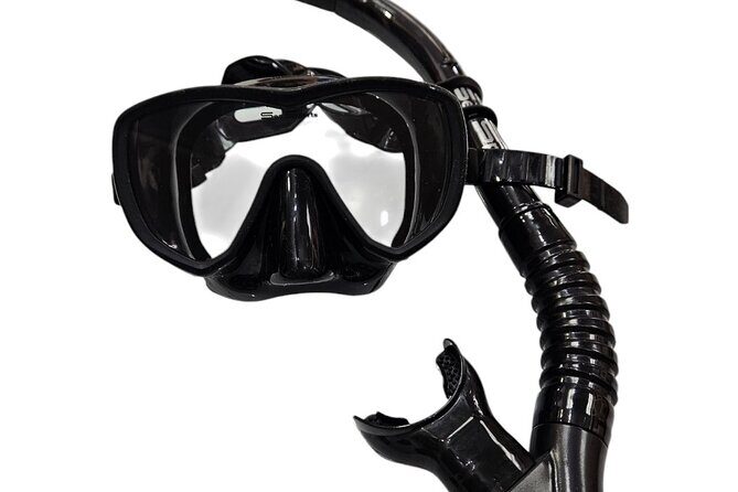 Hanauma Bay Experience with Admission Ticket and Equipment - What is Hanauma Bay and Why is it Special?