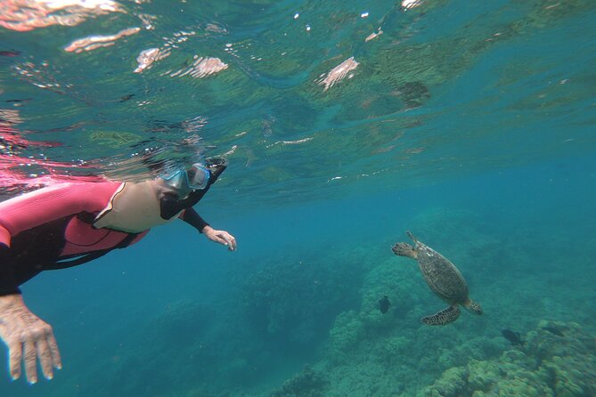 Hanauma Bay Guided Snorkeling Tour - Pickup Options and Confirmation Process