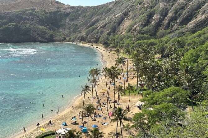 Hanauma Bay Snorkel Lesson - What Reviewers Say: Authentic Insights