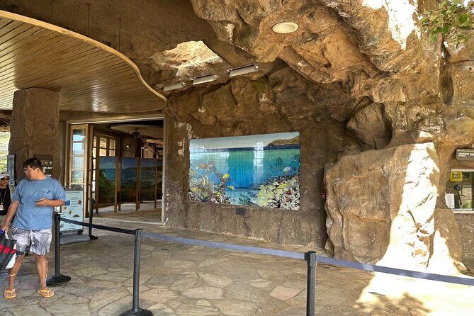 Hanauma Bay Snorkel Lesson - The Practicalities: Price, Group Size, and Whats Included