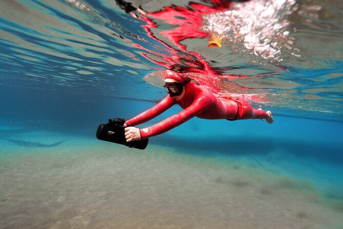 Hanauma Bay Snorkeling Reservation+Equipment Rental - Good To Know