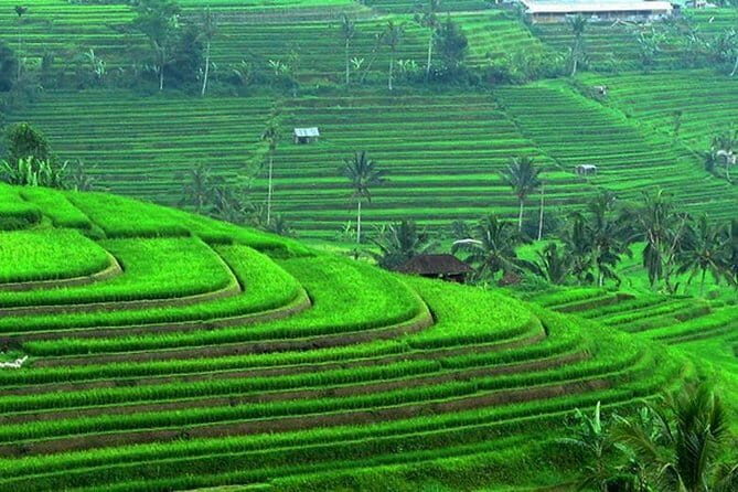 Handara Gate, Bratan Temple & Insta Spots - Good To Know