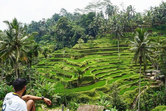 Handara Gate, Bratan Temple & Insta Spots - Who Will Love This Tour?