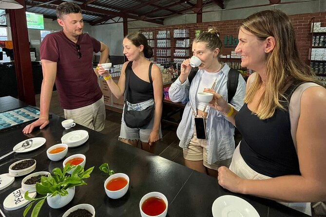 Handmade Tea Tour in Ella Sri Lanka - Tour Schedule and Duration