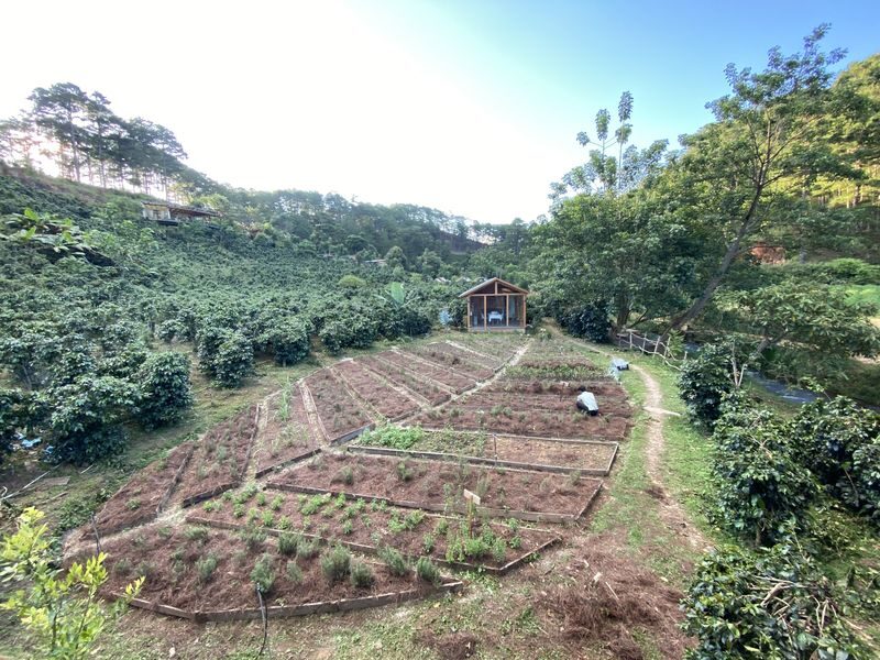 Hands-On Candle Making & Herb Garden Visit by Twin Beans Farm - What the price includes, and what it does not