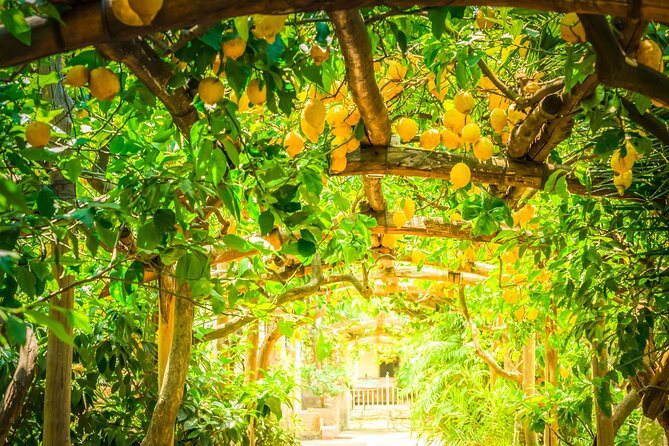 Hands-On Cooking Class & Farmhouse Visit in the Amalfi Coast - Additional Information