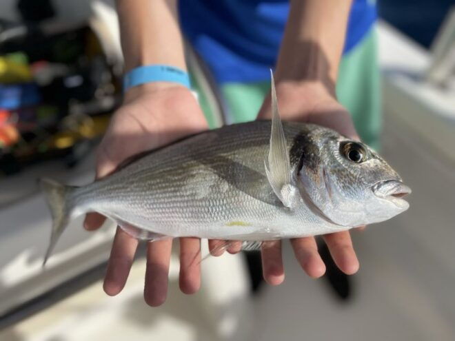 Hands-On Fishing Trip With Swimming at Sea - Inclusions and Booking Information
