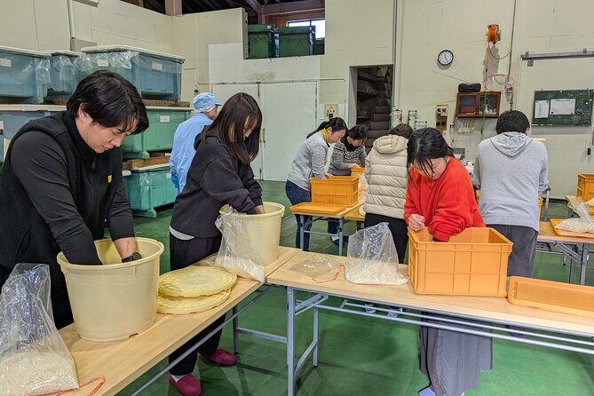 Hands-on History: Make Your Own Miso at a 240-Year-Old Brewery - An In-Depth Look at the Tour Experience