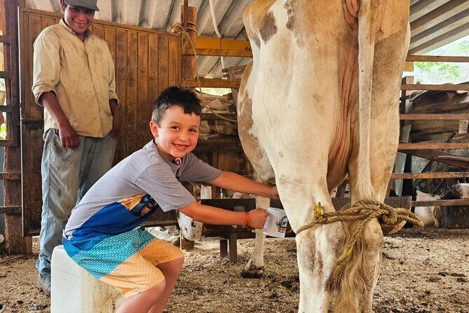 Hands-on Mexican Farm Experience: from Cow to Cheese - Exploring the Details: What to Expect on this Farm Tour