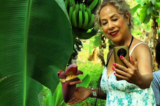 Hands-on Mexican Farm Experience: from Cow to Cheese - Who Will Love This Tour?