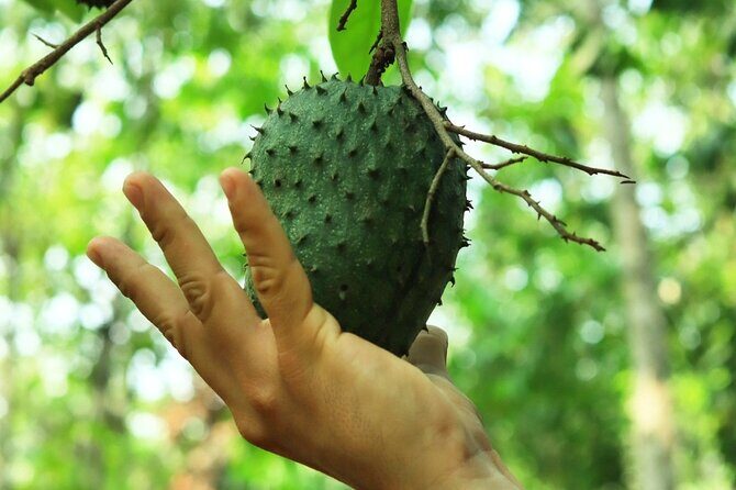 Hands-on Mexican Farm Experience: from Cow to Cheese - FAQ