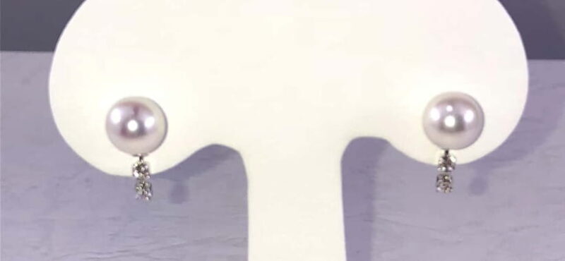 Hands-on Pearl Harvesting Workshop! - FAQ