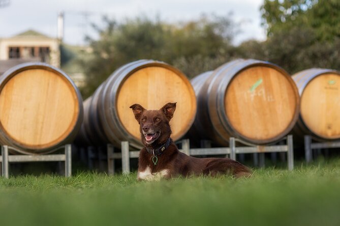 Handy Hop-On Hop-Off Wine Tour, Nelson Tasman - Tour Details