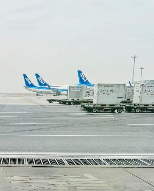 Haneda Airport Pick Up. - Convenience and Comfort