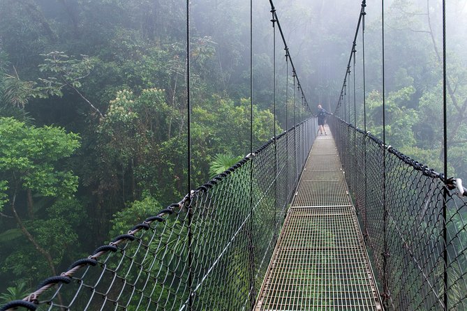 Hanging Bridges Guided Tour, Mistico Park - Park Overview and Biodiversity