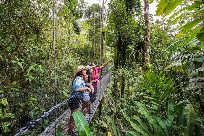 Hanging Bridges Guided Tour, Mistico Park - Tour Details and Duration
