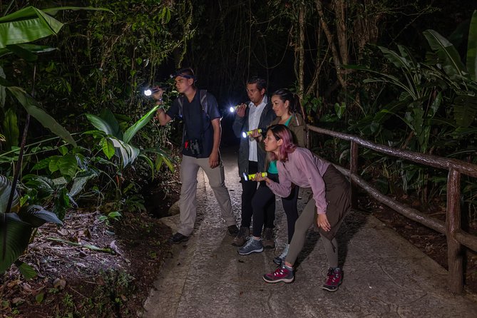 Hanging Bridges Nighttime Canopy Tour at Mistico Park (Feb ) - Logistics and Pickup Details