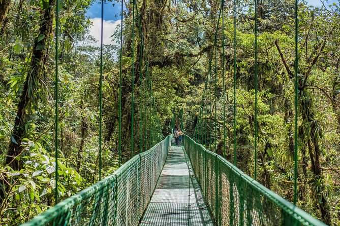 Hanging Bridges & Tour Guide From Monteverde - Cloud Forest Ecosystem Exploration