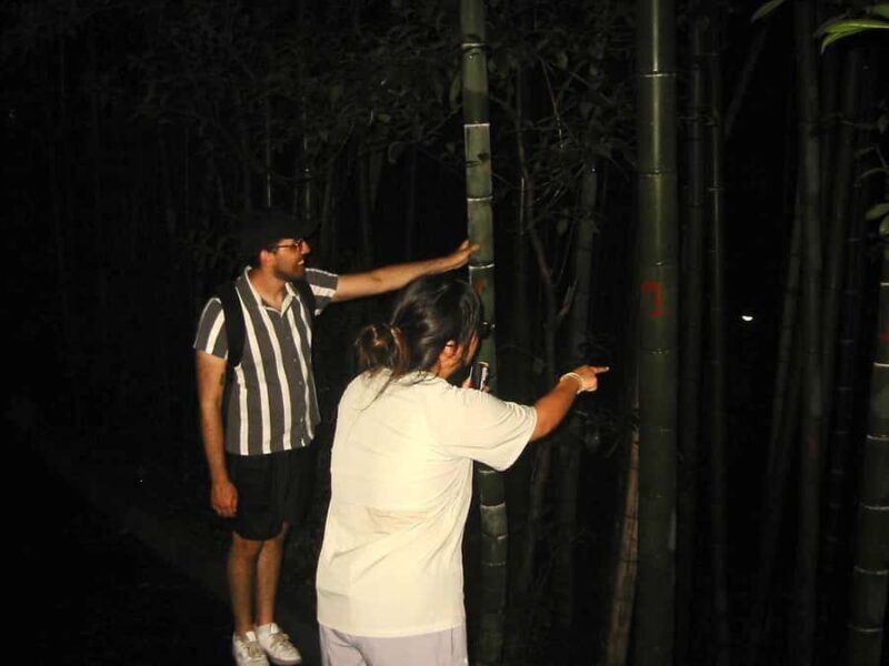 Hangzhou After Dark: Baoshi Hill for the Adventurous - FAQ