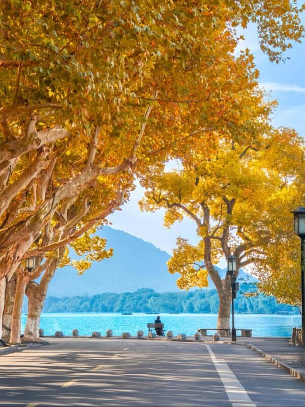 Hangzhou: Ancient to Future Private Day Tour with Boat Ride - Good To Know