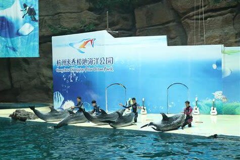 Hangzhou Changqiao Polar Ocean Park Ticket (For Mainland China ID Holders) - Getting to Xianghu and planning your day