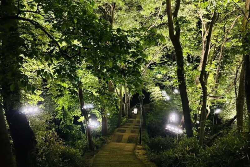 Hangzhou : Cool Morning/Night Baoshi Mountain Guided Tour - An Authentic Nighttime Escape in Hangzhou’s Hills
