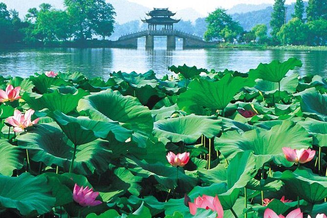 Hangzhou Cultural Day Tour by Mini Coach - The Sum Up