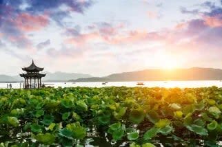 Hangzhou Day Trip from Shanghai/Hangzhou | West Lake + Lingyin Temple + High-Speed Rail Round Trip, English Small Group Tour - Lingyin Temple and Feilai Peak: a change of pace