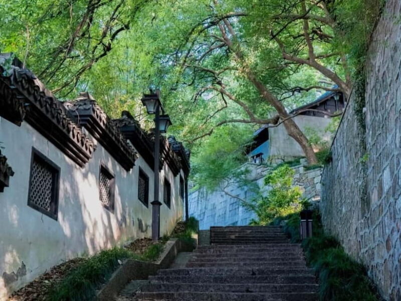 Hangzhou Insider Mini-Hike: TCM, Hill Views and Wet Market - Who Should Consider This Tour?