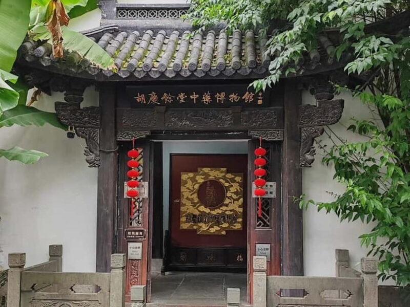 Hangzhou Insider Mini-Hike: TCM, Hill Views and Wet Market - Final Thoughts