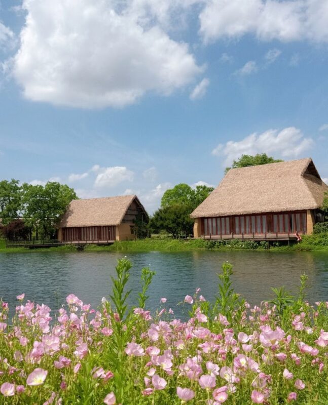 Hangzhou Liangzhu Museum + Archaeological Park 1-Day Tour [Optional Half-Day/Full-Day] - Pair the park with the museum for the full picture