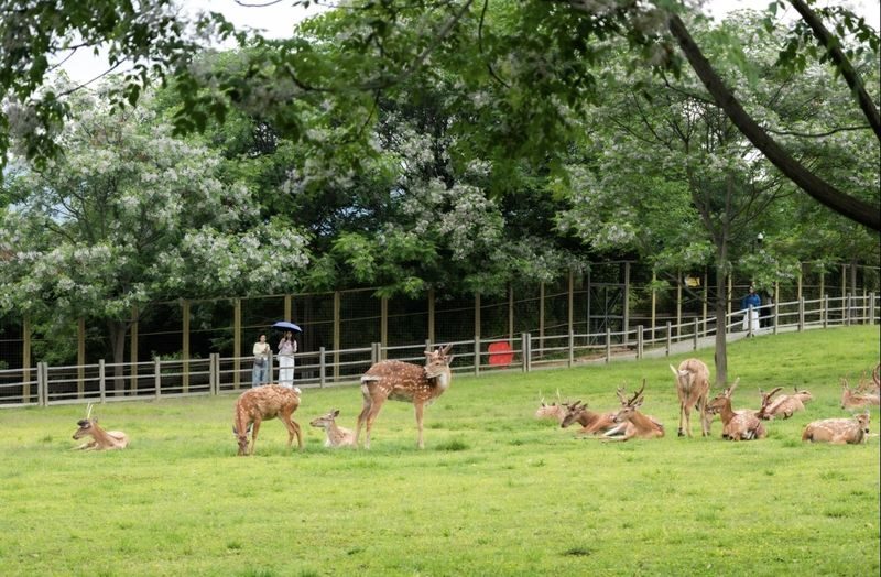 Hangzhou Liangzhu Museum + Archaeological Park 1-Day Tour [Optional Half-Day/Full-Day] - Meeting times and small details that matter