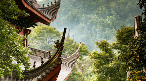 Hangzhou Lingyin Temple Feilaifeng Scenic Spot Ticket - Key points before you go