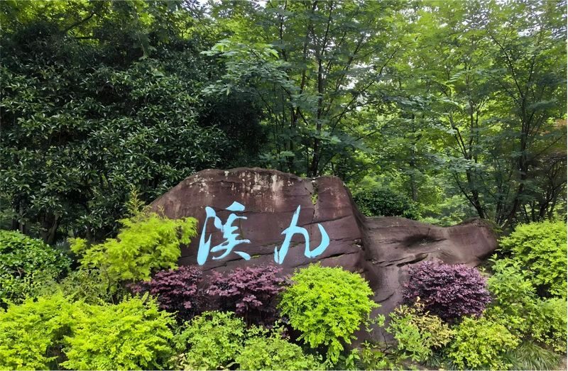 Hangzhou Longjing Tea Plantation Light 5km Hiking Tea Culture Experience Tour - From Jiuxi’s streams toward Longjing