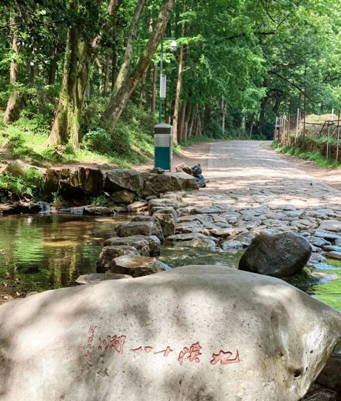 Hangzhou Longjing Tea Plantation Light 5km Hiking Tea Culture Experience Tour - The 5km walk or the 8km extension?