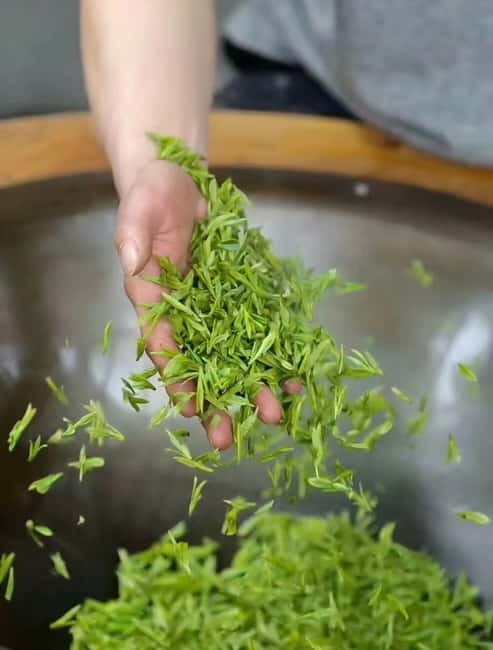 Hangzhou: Longjing Village Tea Picking and Tasting Tour - Good To Know