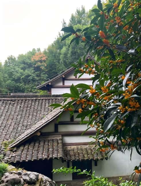 Hangzhou: Longjing Village Tea Picking and Tasting Tour - Exploring Hangzhou’s Longjing Village: What to Expect
