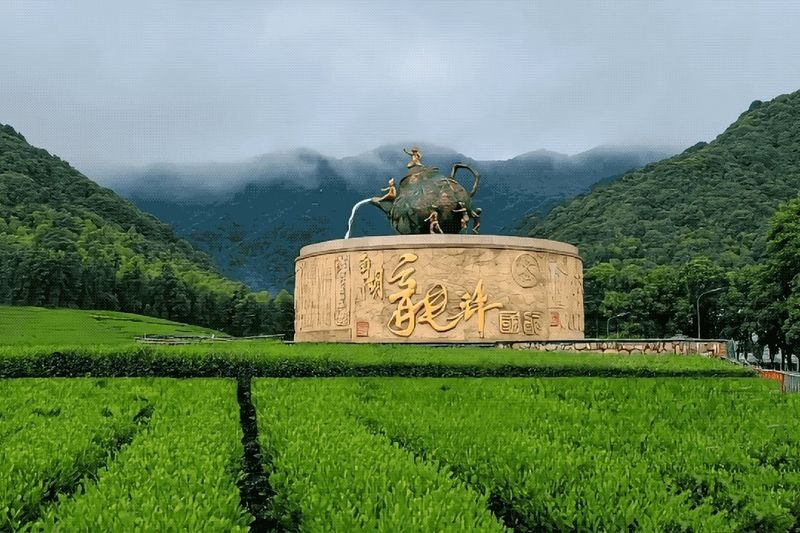 Hangzhou Longwu Spring Tea Tour: Half-day Experience of Tea Picking, Hiking, and Tea Tasting - Walking above the tea fields