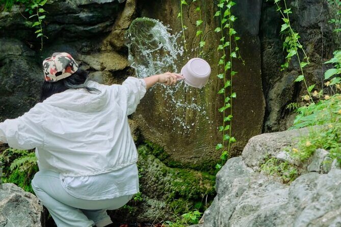 Hangzhou Mini-Hike Tour with Local Market Life Experience - Potential Drawbacks