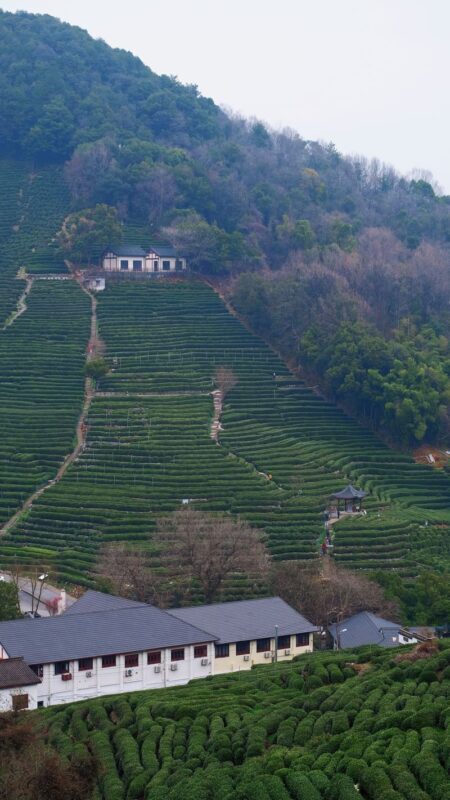 Hangzhou Nine Creeks & Shili Langdang Full-Day Hiking Experience with Tea Plantations - Is this a good fit for your fitness level?