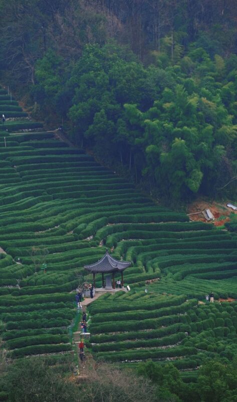 Hangzhou Nine Creeks & Shili Langdang Full-Day Hiking Experience with Tea Plantations - Is $89.89 fair value?