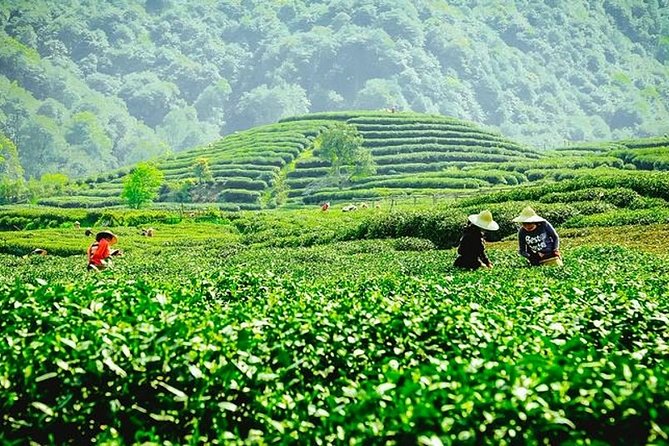 Hangzhou Private Customized Day Tour From Wuxi by Bullet Train - Tour Highlights