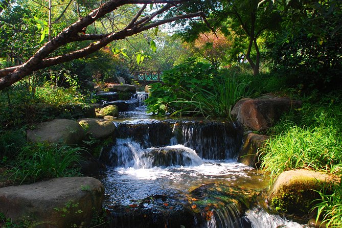 Hangzhou Private Day Tour With West Lake, Tea Village, Lingyin Temple and More - Price and Booking Information