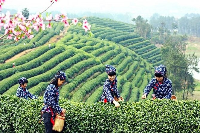 Hangzhou Private Day Tour With West Lake, Tea Village, Lingyin Temple and More - Important Reminders
